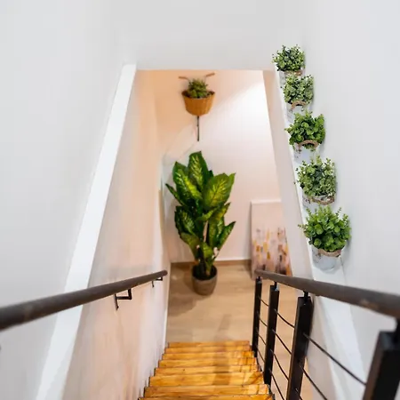Maqueda Luxury & Appartement Palermo