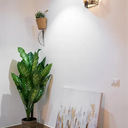 Maqueda Luxury &